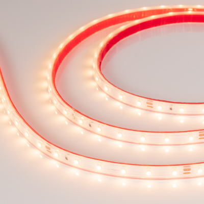 af6f216e2074bc81d1e9ba1a2fbfe5f9